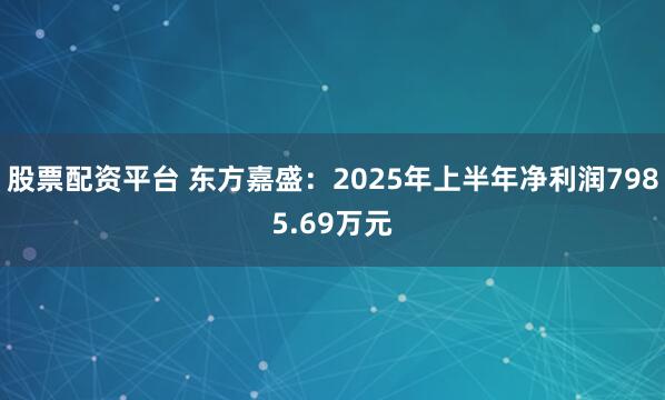 股票配资平台 东方嘉盛：2025年上半年净利润7985.69万元