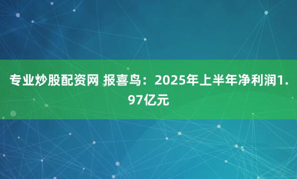 专业炒股配资网 报喜鸟：2025年上半年净利润1.97亿元